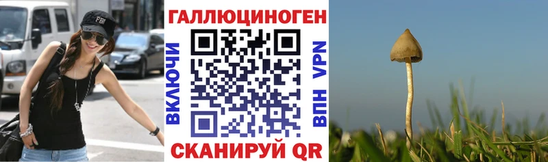 Псилоцибиновые грибы MAGIC MUSHROOMS  купить наркоту  МЕГА ссылка  Крымск 